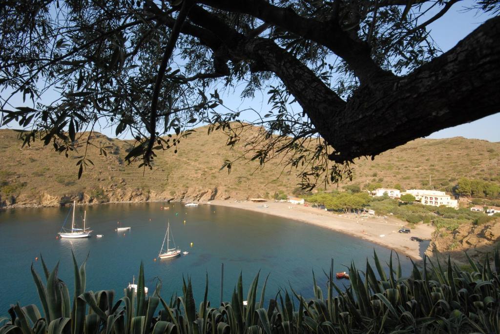 Hotel Cala Joncols روساس المظهر الخارجي الصورة