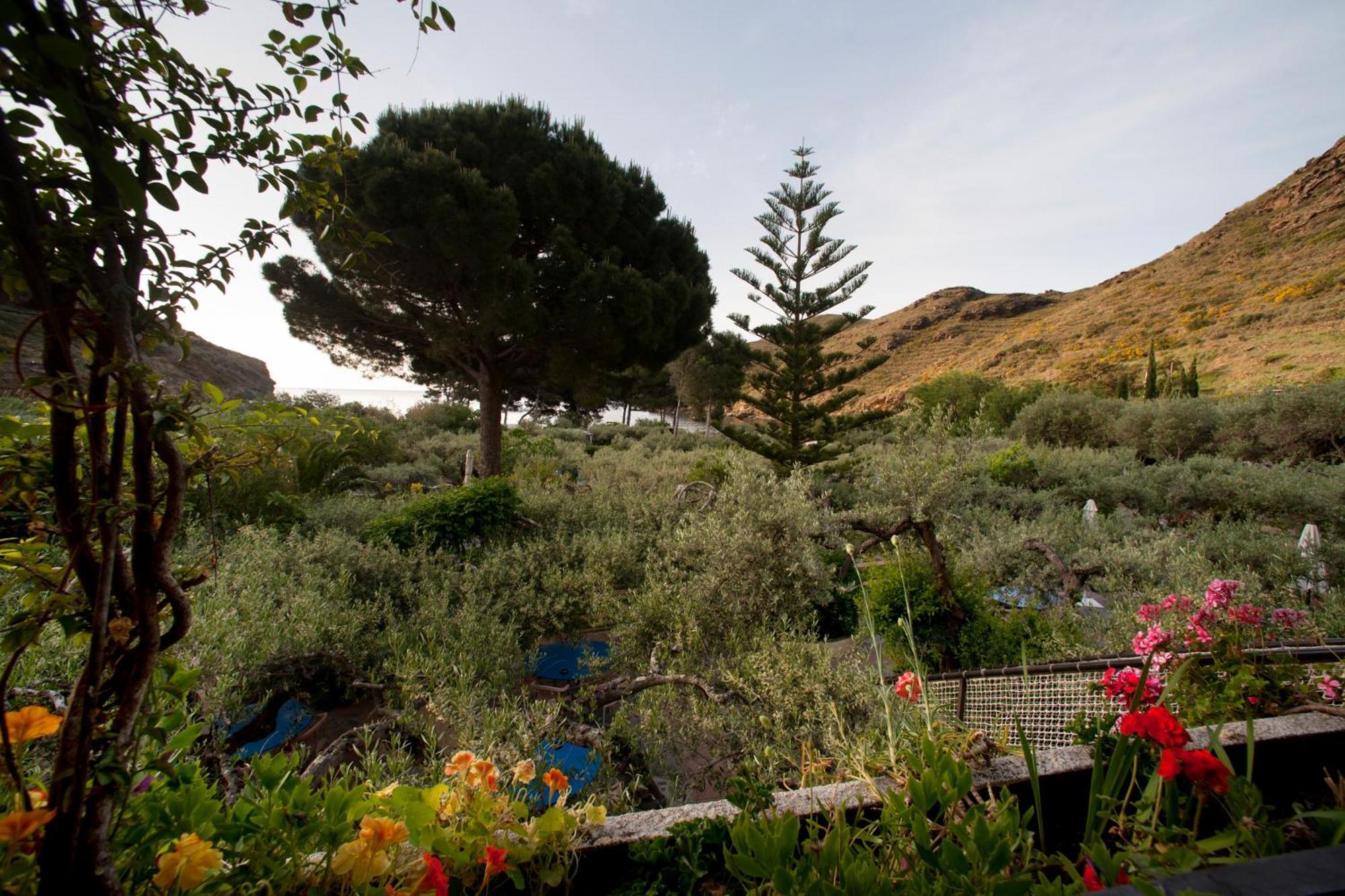 Hotel Cala Joncols روساس المظهر الخارجي الصورة