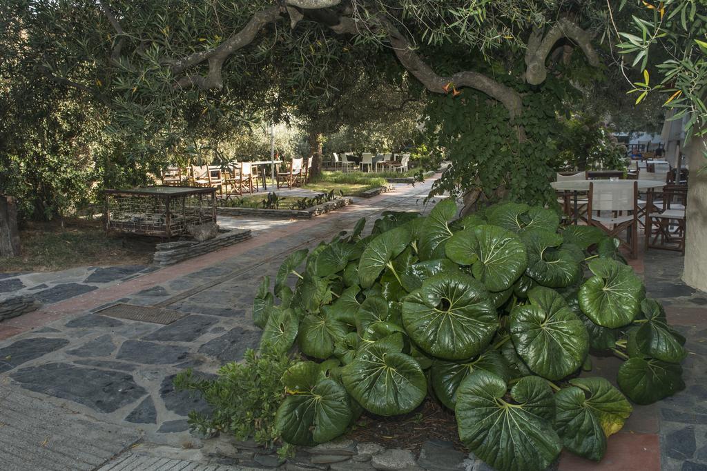 Hotel Cala Joncols روساس المظهر الخارجي الصورة