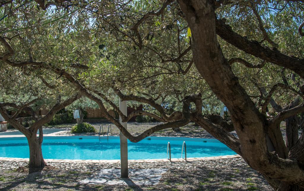 Hotel Cala Joncols روساس المظهر الخارجي الصورة